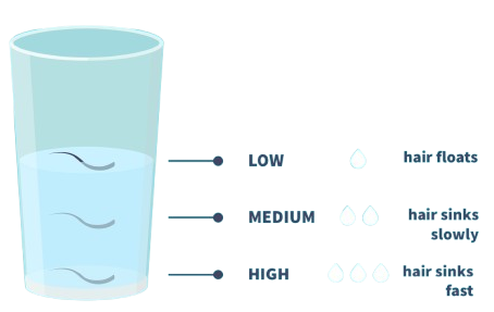 Browse by your Porosity
